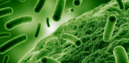 CURSO DE PREVENCIÓN Y CONTROL DE LEGIONELLA (INICIAL) -LEGIONELOSIS-