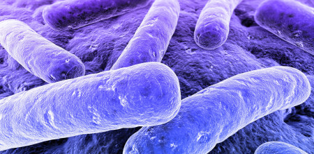 CURSO DE PREVENCIÓN Y CONTROL DE LEGIONELLA (RENOVACIÓN) -LEGIONELOSIS-